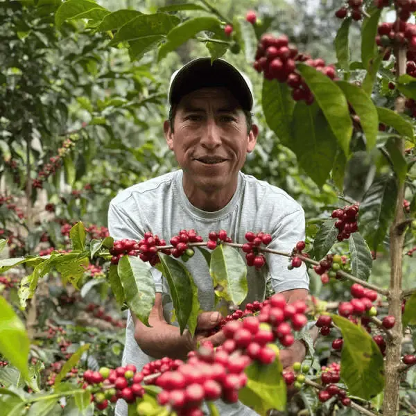 Peru Coffee Farmer